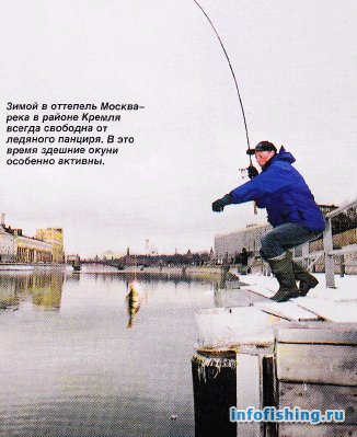 Ловля окуня на Москва-реке в районе Кремля