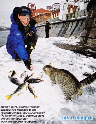 Ловля рыбы на Москва-реке в районе станции метро Киевская
