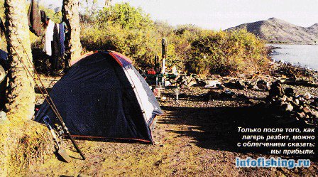 Наши палатки
