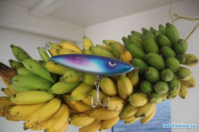 Banana Slick