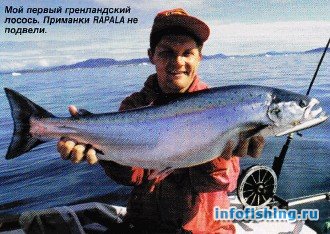 Первый гренландский лосось