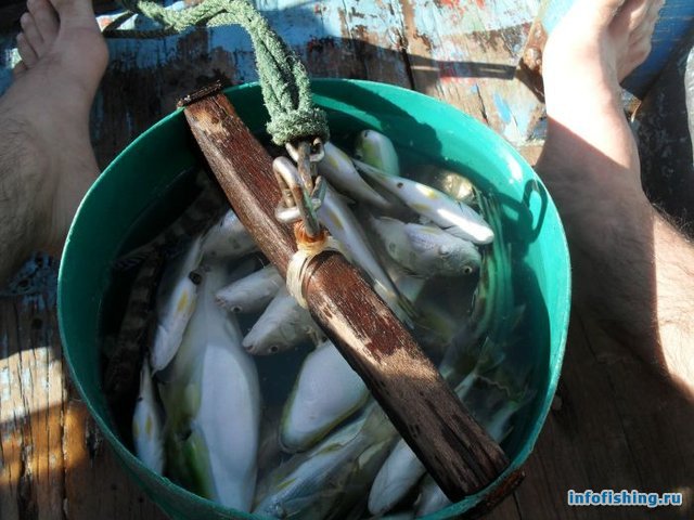 Отчет о рыбалке во Вьетнаме (Фантьет)