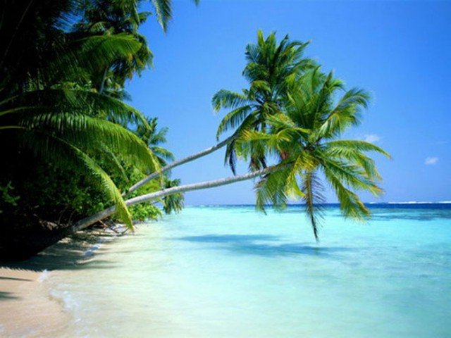 Доминикана: пляжный рай