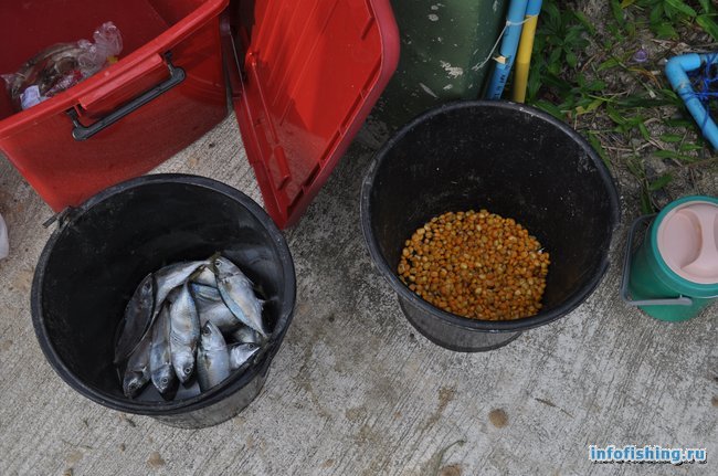 Отчет о рыбалке на TopCats (Таиланд, о. Самуи)