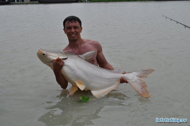 Отчет о рыбалке на TopCats (Таиланд, о. Самуи)
